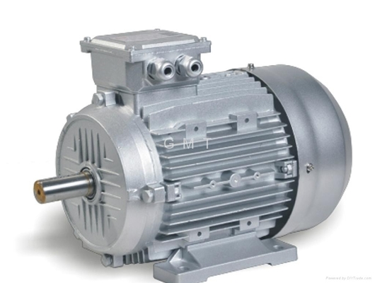 High Torque Low Rpm Industrial Electric Motors 3000 rpm , Energy Efficiency