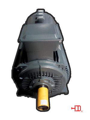 Motore di dovere dell'invertitore di industriale 45KW 160KW elettrico per l'IEC/GB della pompa idraulica